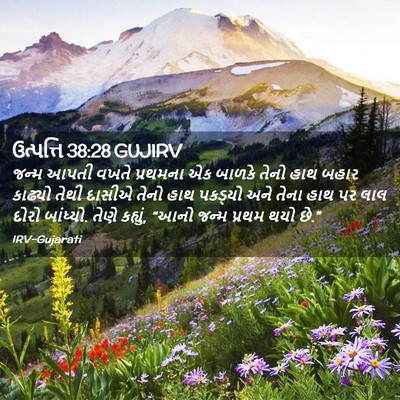 Picture 02 - ઉત્પત્તિ 38:28 GUJIRV - જન્મ આપતી વખતે - Bible Verse Picture