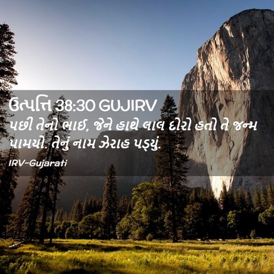 Picture 02 - ઉત્પત્તિ 38:30 GUJIRV - પછી તેનો ભાઈ, જેને - Bible Verse Picture