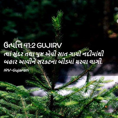 Picture 02 - ઉત્પત્તિ 41:2 GUJIRV - ત્યાં સુંદર તથા - Bible Verse Picture