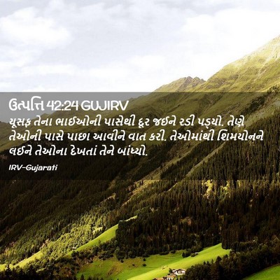 Picture 02 - ઉત્પત્તિ 42:24 GUJIRV - યૂસફ તેના ભાઈઓની - Bible Verse Picture