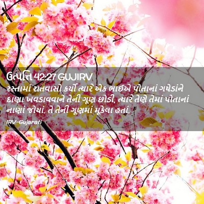 Picture 02 - ઉત્પત્તિ 42:27 GUJIRV - રસ્તામાં રાતવાસો - Bible Verse Picture