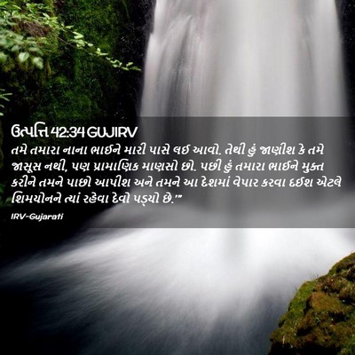 Picture 02 - ઉત્પત્તિ 42:34 GUJIRV - તમે તમારા નાના - Bible Verse Picture