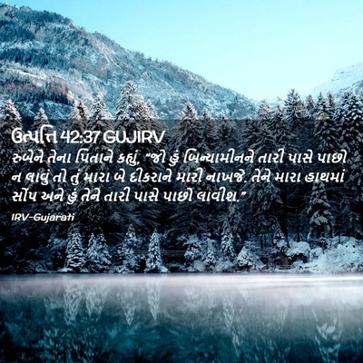 Picture 02 - ઉત્પત્તિ 42:37 GUJIRV - રુબેને તેના - Bible Verse Picture