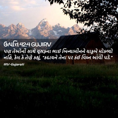 Picture 02 - ઉત્પત્તિ 42:4 GUJIRV - પણ તેઓની સાથે - Bible Verse Picture