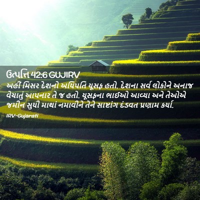 Picture 02 - ઉત્પત્તિ 42:6 GUJIRV - અહીં મિસર દેશનો - Bible Verse Picture