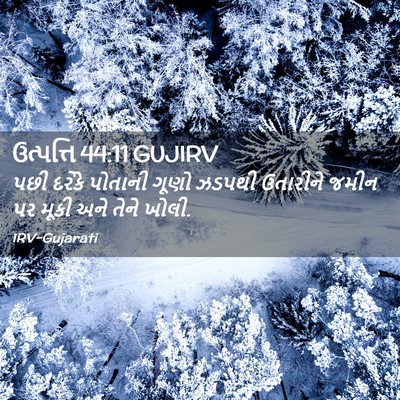 Picture 02 - ઉત્પત્તિ 44:11 GUJIRV - પછી દરેકે પોતાની - Bible Verse Picture
