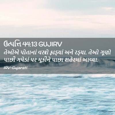 Picture 02 - ઉત્પત્તિ 44:13 GUJIRV - તેઓએ પોતાનાં - Bible Verse Picture
