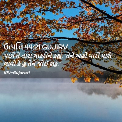 Picture 02 - ઉત્પત્તિ 44:21 GUJIRV - પછી તેં તારા - Bible Verse Picture