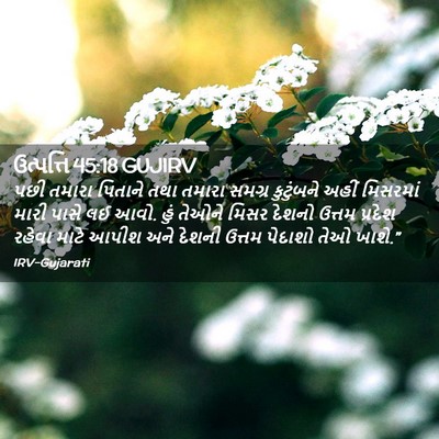 Picture 02 - ઉત્પત્તિ 45:18 GUJIRV - પછી તમારા પિતાને - Bible Verse Picture