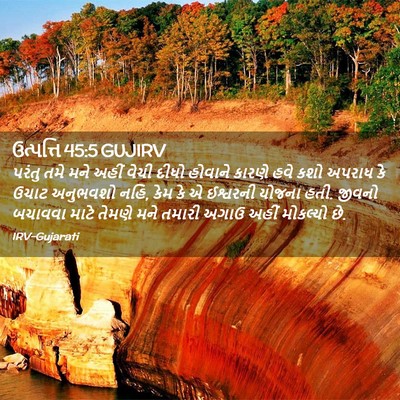 Picture 02 - ઉત્પત્તિ 45:5 GUJIRV - પરંતુ તમે મને અહીં - Bible Verse Picture