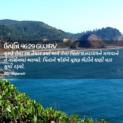 Picture 02 - ઉત્પત્તિ 46:29 GUJIRV - યૂસફે તેના રથ - Bible Verse Picture