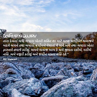 Picture 02 - ઉત્પત્તિ 47:19 GUJIRV - તારા દેખતાં અમે, - Bible Verse Picture