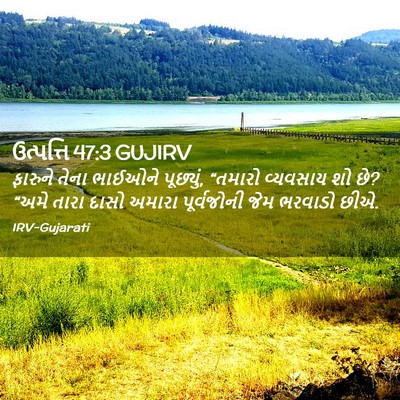 Picture 02 - ઉત્પત્તિ 47:3 GUJIRV - ફારુને તેના - Bible Verse Picture