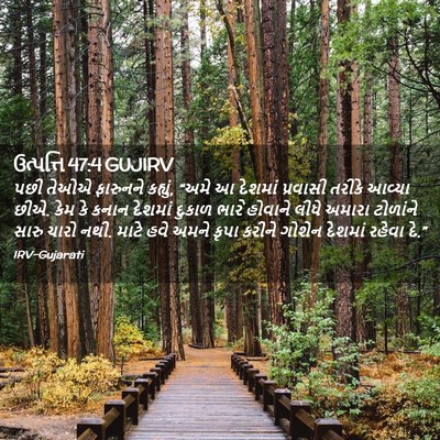 Picture 02 - ઉત્પત્તિ 47:4 GUJIRV - પછી તેઓએ ફારુનને - Bible Verse Picture