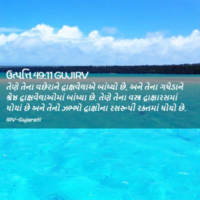 Picture 02 - ઉત્પત્તિ 49:11 GUJIRV - તેણે તેના વછેરાને - Bible Verse Picture