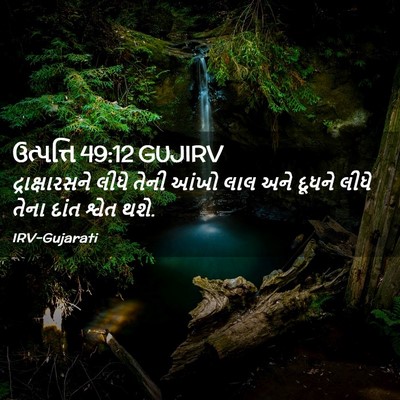 Picture 02 - ઉત્પત્તિ 49:12 GUJIRV - દ્રાક્ષારસને લીધે - Bible Verse Picture