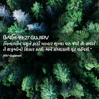 Picture 02 - ઉત્પત્તિ 49:27 GUJIRV - બિન્યામીન પશુને - Bible Verse Picture