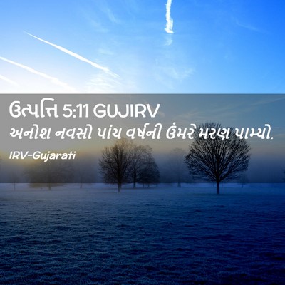 Picture 02 - ઉત્પત્તિ 5:11 GUJIRV - અનોશ નવસો પાંચ - Bible Verse Picture