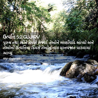 Picture 02 - ઉત્પત્તિ 5:2 GUJIRV - પુરુષ તથા - Bible Verse Picture