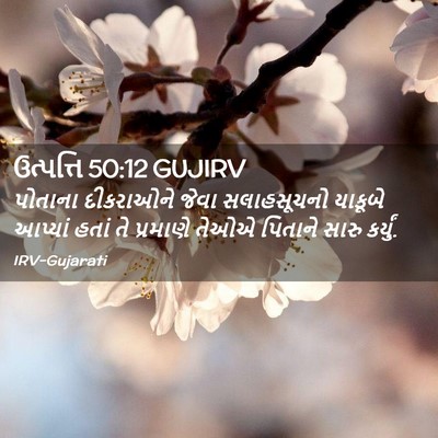 Picture 02 - ઉત્પત્તિ 50:12 GUJIRV - પોતાના દીકરાઓને - Bible Verse Picture