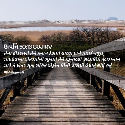 Picture 02 - ઉત્પત્તિ 50:13 GUJIRV - તેના દીકરાઓ તેને - Bible Verse Picture