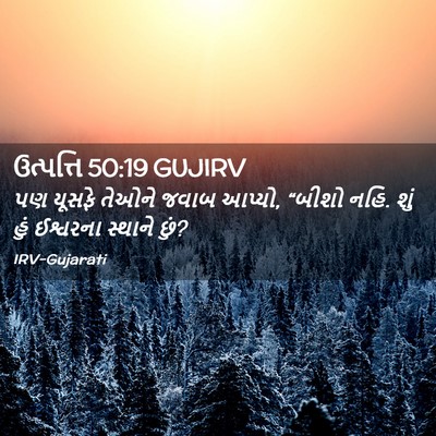 Picture 02 - ઉત્પત્તિ 50:19 GUJIRV - પણ યૂસફે તેઓને - Bible Verse Picture