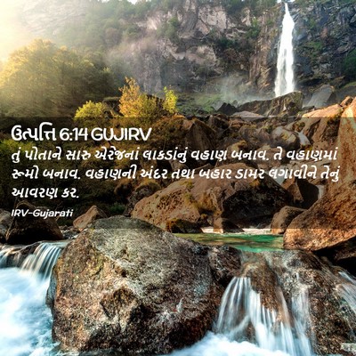 Picture 02 - ઉત્પત્તિ 6:14 GUJIRV - તું પોતાને સારુ - Bible Verse Picture