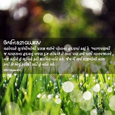 Picture 02 - ઉત્પત્તિ 8:21 GUJIRV - યહોવાહે સુગંધીઓથી - Bible Verse Picture