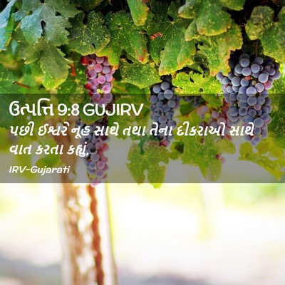 Picture 02 - ઉત્પત્તિ 9:8 GUJIRV - પછી ઈશ્વરે નૂહ - Bible Verse Picture