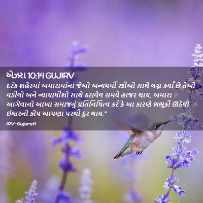Picture 02 - એઝરા 10:14 GUJIRV - દરેક શહેરમાં - Bible Verse Picture
