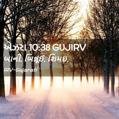Picture 02 - એઝરા 10:38 GUJIRV - બાની, બિન્નૂઈ, - Bible Verse Picture