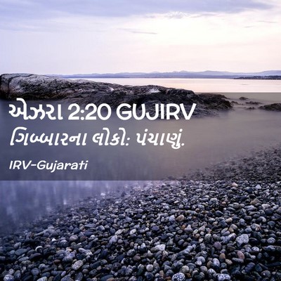 Picture 02 - એઝરા 2:20 GUJIRV - ગિબ્બારના લોકો: - Bible Verse Picture