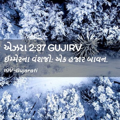 Picture 02 - એઝરા 2:37 GUJIRV - ઈમ્મેરના વંશજો: એક - Bible Verse Picture