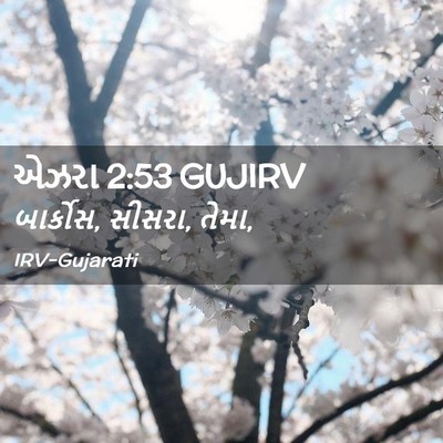 Picture 02 - એઝરા 2:53 GUJIRV - બાર્કોસ, સીસરા, - Bible Verse Picture