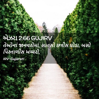 Picture 02 - એઝરા 2:66 GUJIRV - તેઓનાં જાનવરોમાં, - Bible Verse Picture