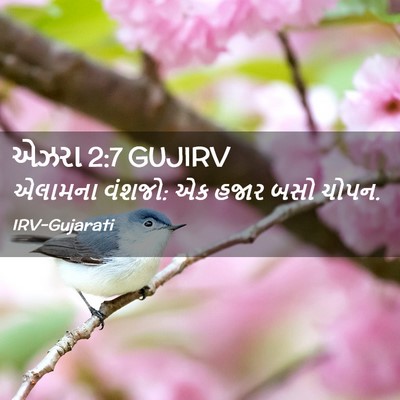 Picture 02 - એઝરા 2:7 GUJIRV - એલામના વંશજો: એક - Bible Verse Picture