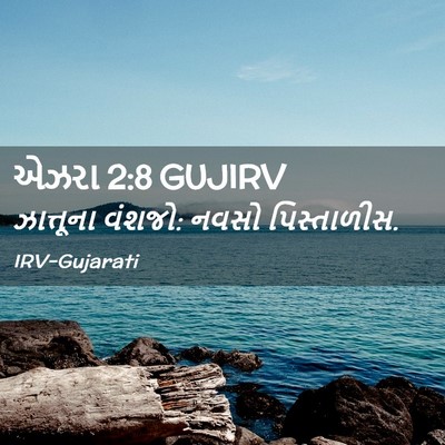 Picture 02 - એઝરા 2:8 GUJIRV - ઝાત્તૂના વંશજો: - Bible Verse Picture