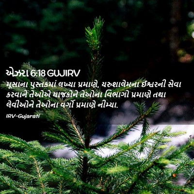 Picture 02 - એઝરા 6:18 GUJIRV - મૂસાના પુસ્તકમાં - Bible Verse Picture