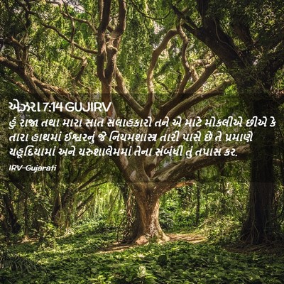 Picture 02 - એઝરા 7:14 GUJIRV - હું રાજા તથા મારા - Bible Verse Picture