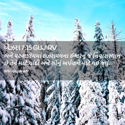 Picture 02 - એઝરા 7:15 GUJIRV - અને યરુશાલેમમાં - Bible Verse Picture