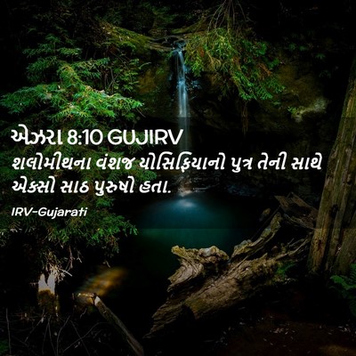 Picture 02 - એઝરા 8:10 GUJIRV - શલોમીથના વંશજ - Bible Verse Picture