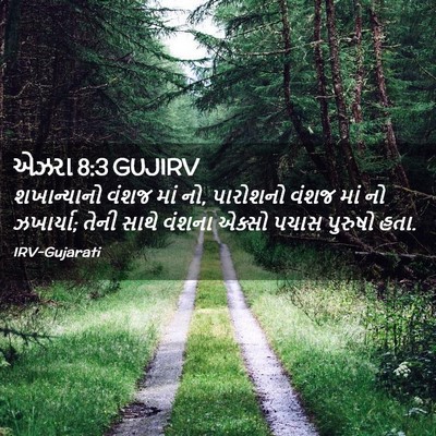 Picture 02 - એઝરા 8:3 GUJIRV - શખાન્યાનો વંશજ - Bible Verse Picture