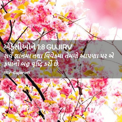 Picture 02 - એફેસીઓને 1:8 GUJIRV - સર્વ જ્ઞાનમાં તથા - Bible Verse Picture
