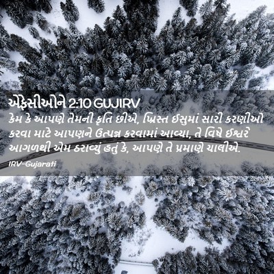 Picture 02 - એફેસીઓને 2:10 GUJIRV - કેમ કે આપણે તેમની - Bible Verse Picture