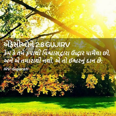 Picture 02 - એફેસીઓને 2:8 GUJIRV - કેમ કે તમે કૃપાથી - Bible Verse Picture