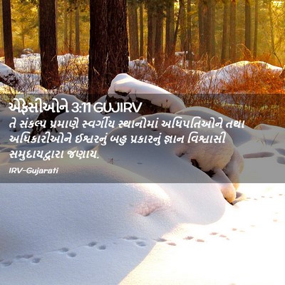 Picture 02 - એફેસીઓને 3:11 GUJIRV - તે સંકલ્પ પ્રમાણે - Bible Verse Picture