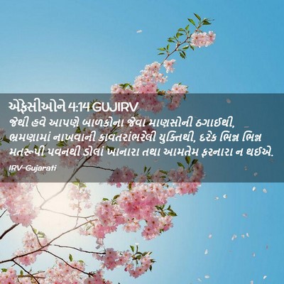 Picture 02 - એફેસીઓને 4:14 GUJIRV - જેથી હવે આપણે - Bible Verse Picture