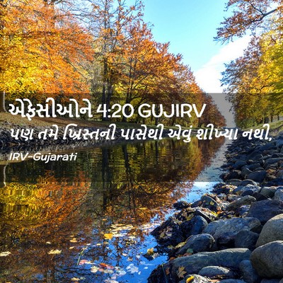 Picture 02 - એફેસીઓને 4:20 GUJIRV - પણ તમે ખ્રિસ્તની - Bible Verse Picture
