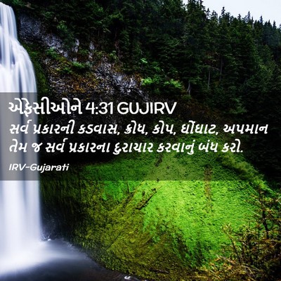 Picture 02 - એફેસીઓને 4:31 GUJIRV - સર્વ પ્રકારની - Bible Verse Picture
