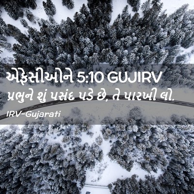Picture 02 - એફેસીઓને 5:10 GUJIRV - પ્રભુને શું પસંદ - Bible Verse Picture
